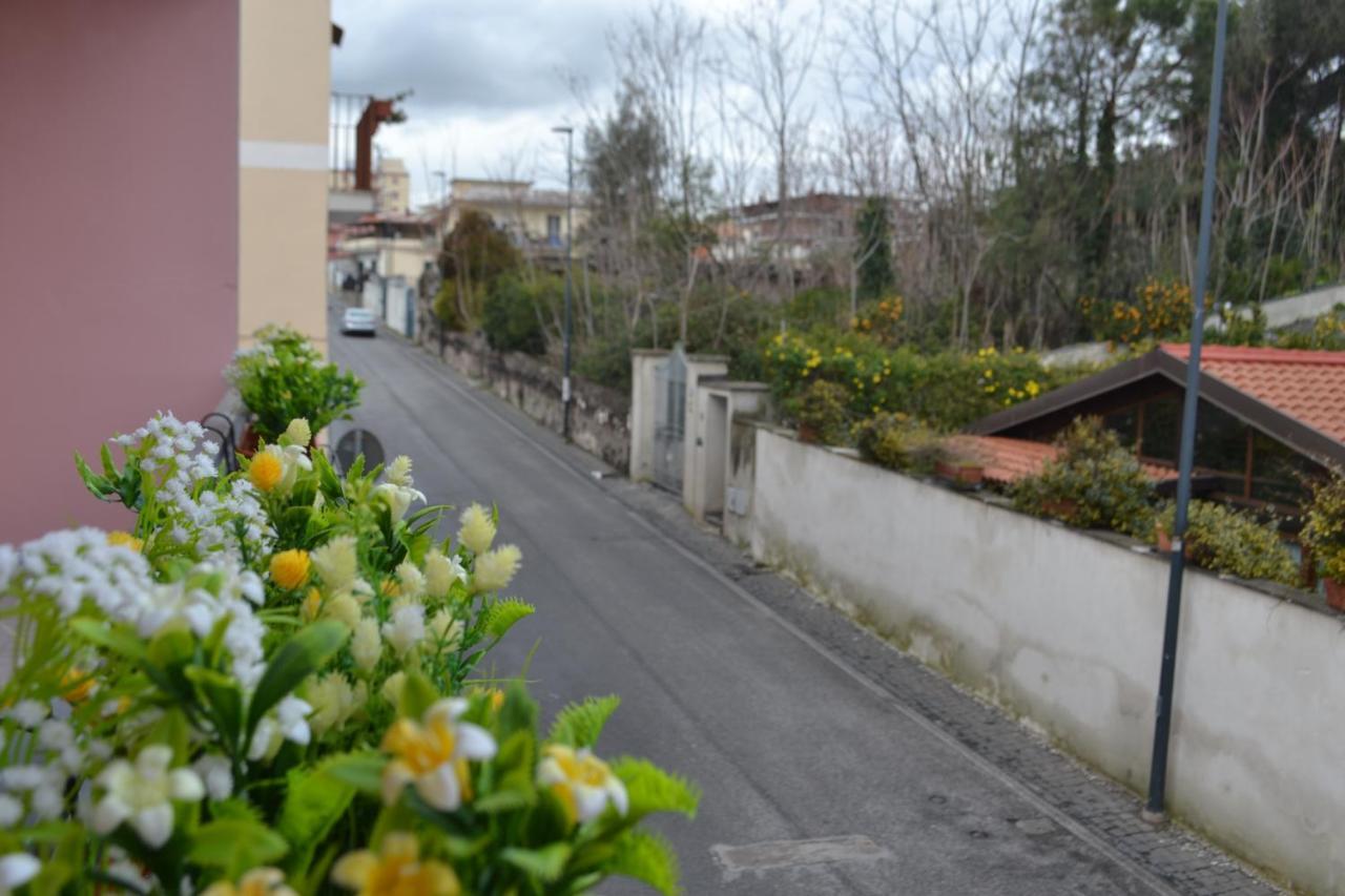 B&B Casa Di Lauro Trecase Dış mekan fotoğraf